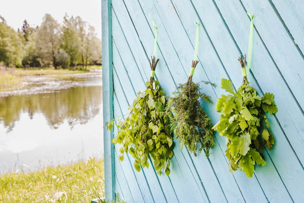 Fresh,Oak,,Birch,,Juniper,And,Oak,Tree,Sauna,Whisks,Brooms