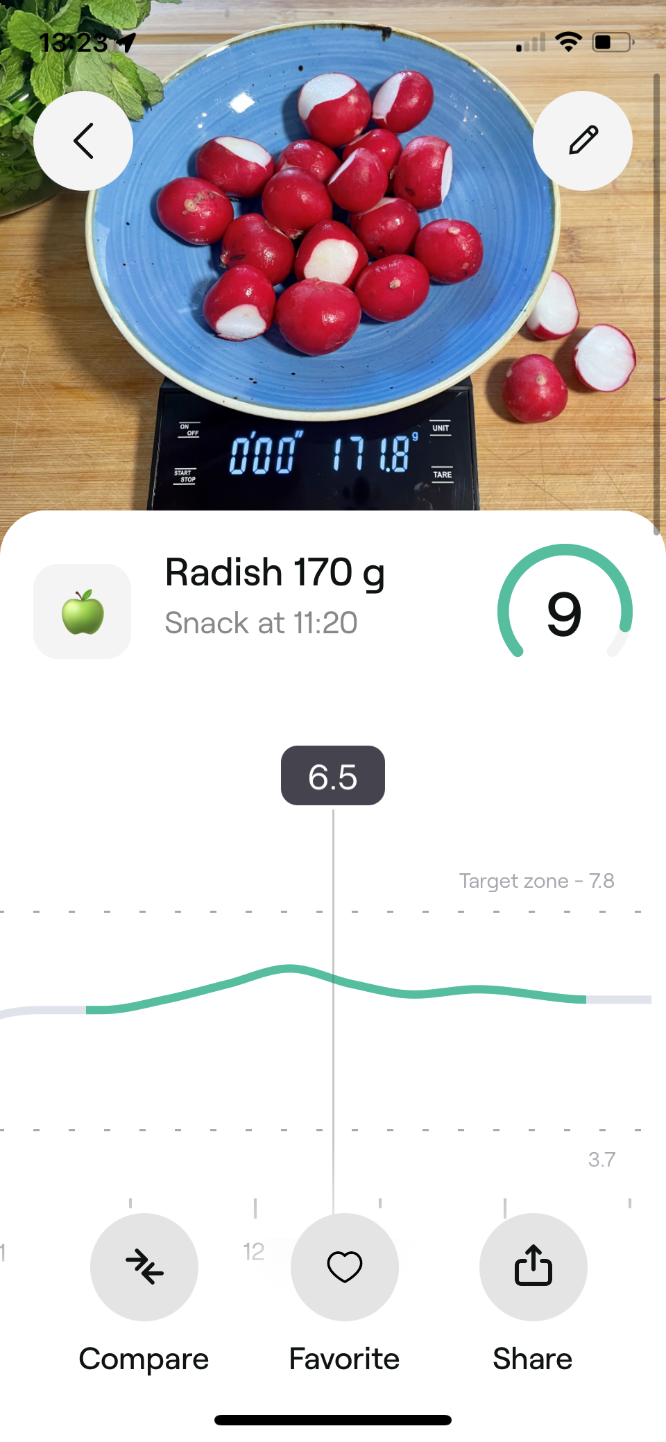 Radish. Experiment by our expert