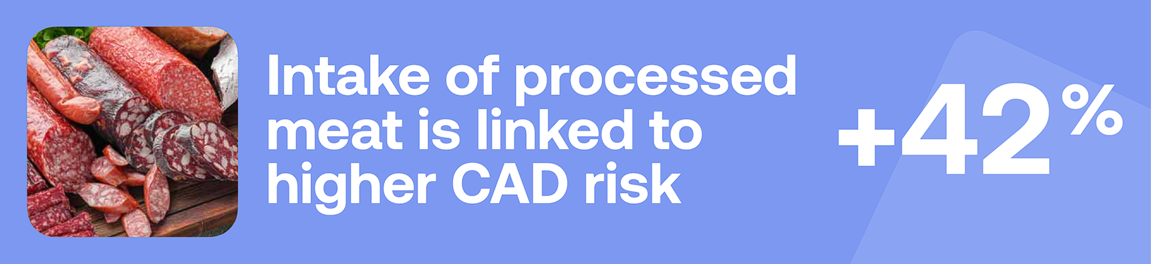 Intake of processed meat is linked to higher CAD risk +42%