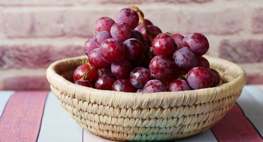 fruits,berries,sleep