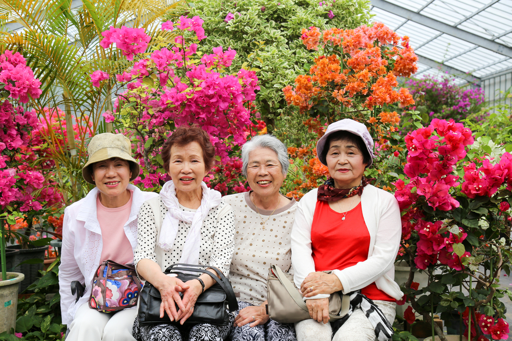 Elderly,a,Lot,Of,Flowers