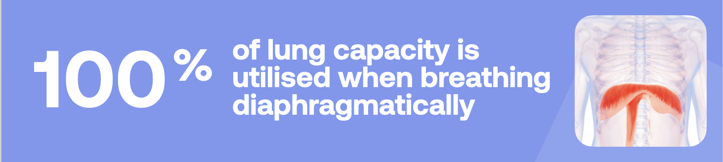 100% of lung capacity is utilised when breathing diaphragmatically