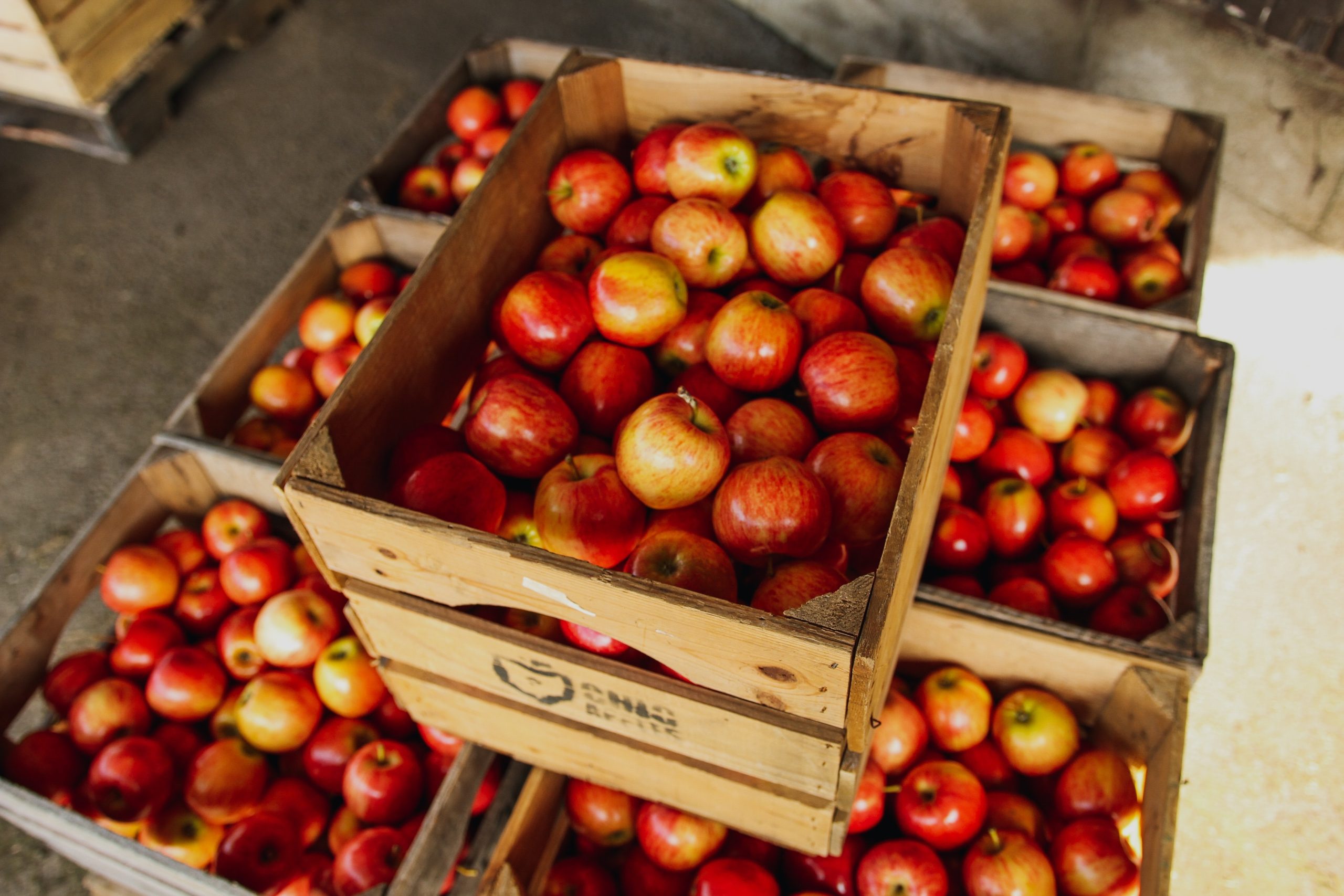 red apples apple peels brown fat