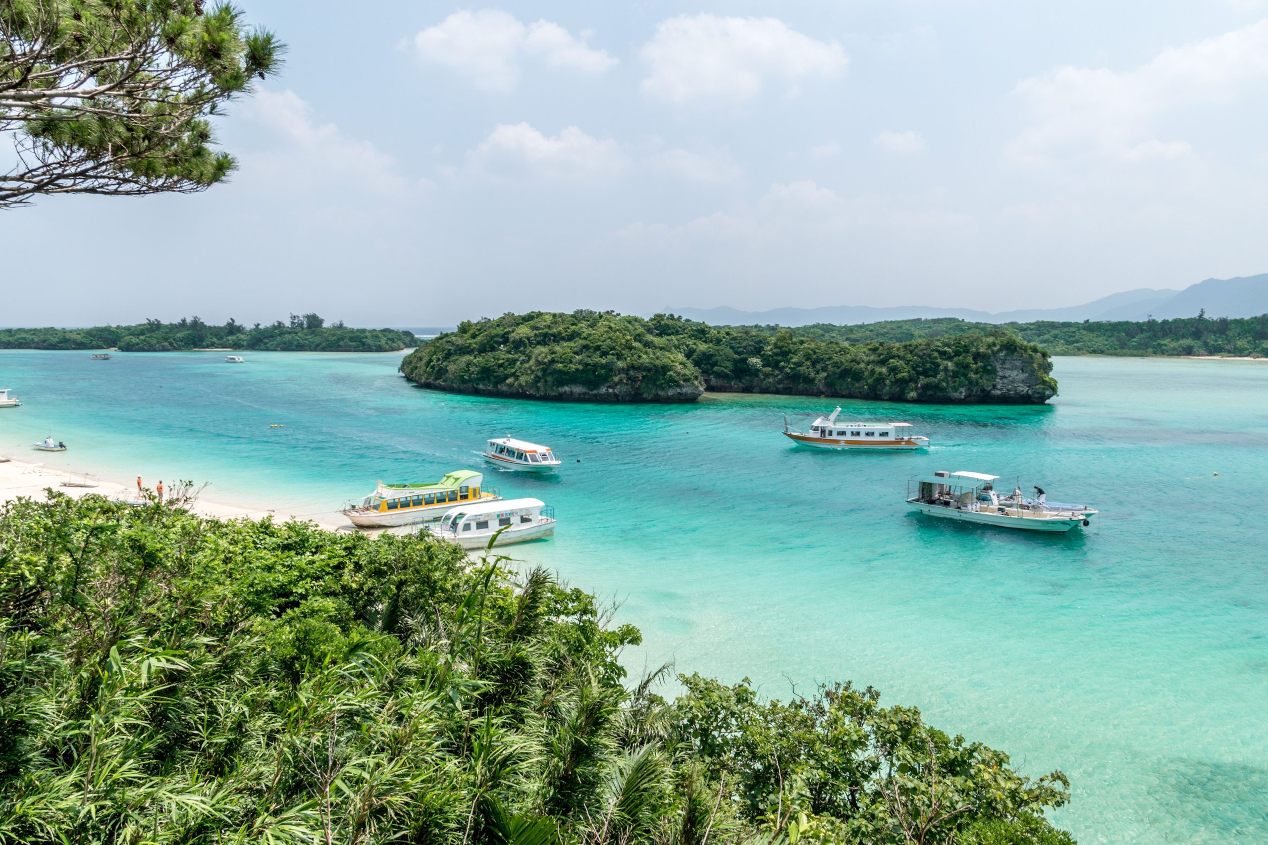 The Blue Zones, Okinawa