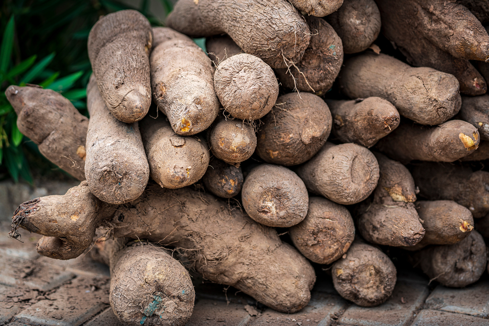 Yams,,A,Staple,Crop,,Are,Stacked,At,A,Yam,Festival