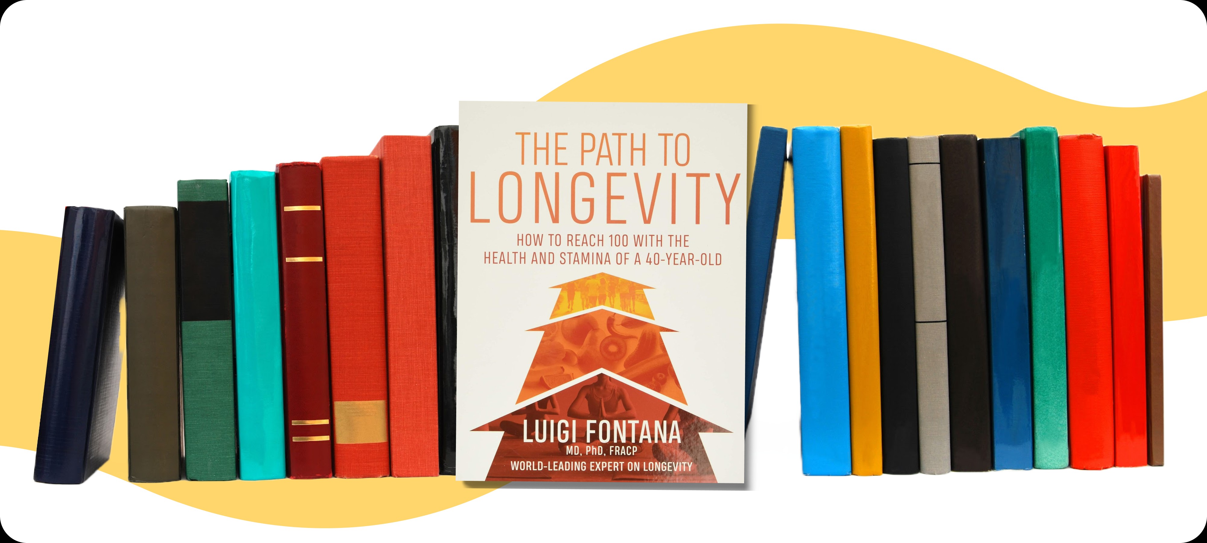 The Path to Longevity