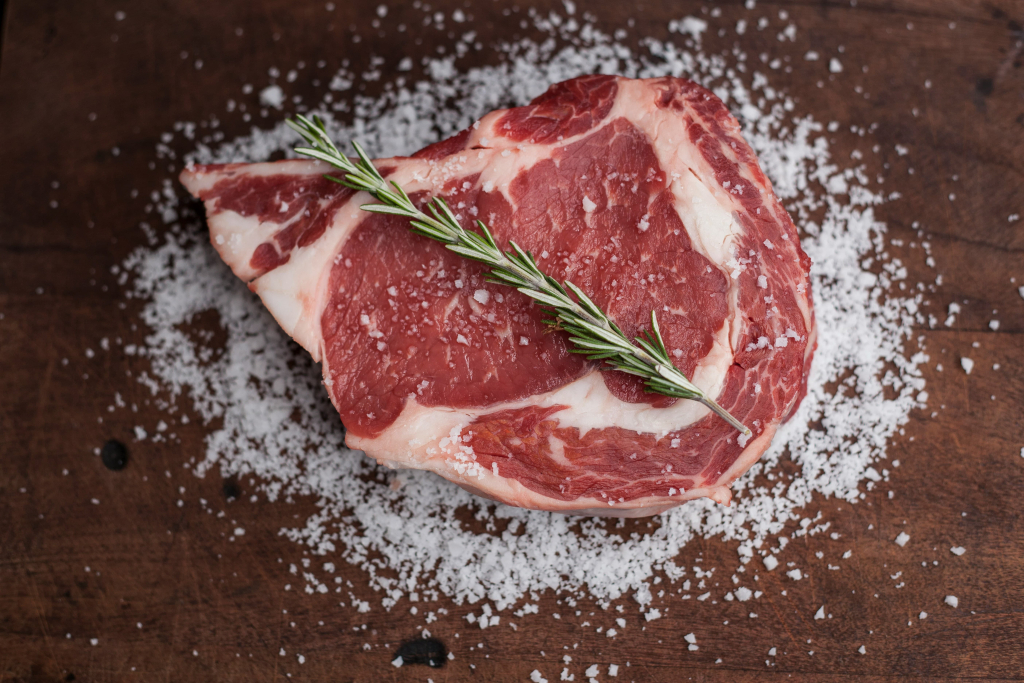 carnivore
