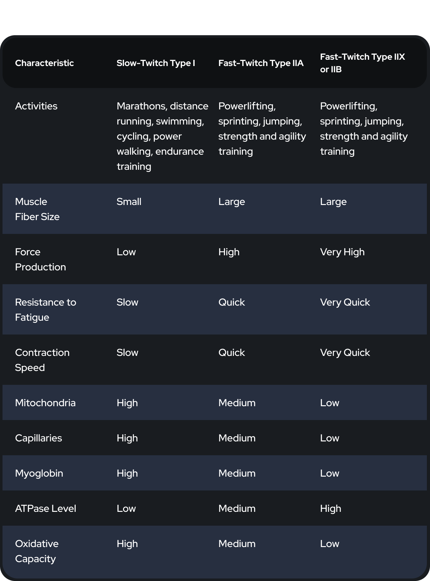 Muscle fiber types chart